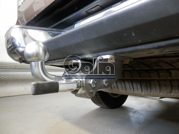 kots_amarok__1581548908_327