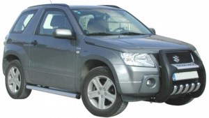 skalopatia-aloyminioy-grandvitara